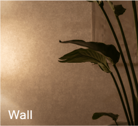 Wall