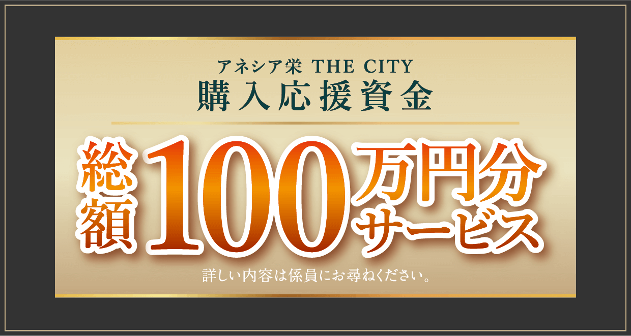 第3期予定販売価格（税込）2LDK〈角住戸〉3,200万円台〜 1LDK〈角住戸〉2,600万円台〜 お住まいの家賃と比べてみてください。ご返済例2,600万円借入の場合月々支払60,065円ボーナス時返済0円　※ローン詳細は下記にて記載