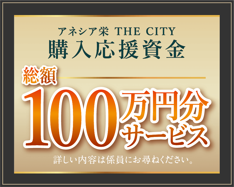 第3期予定販売価格（税込）2LDK〈角住戸〉3,200万円台〜 1LDK〈角住戸〉2,600万円台〜 お住まいの家賃と比べてみてください。ご返済例2,600万円借入の場合月々支払60,065円ボーナス時返済0円　※ローン詳細は下記にて記載